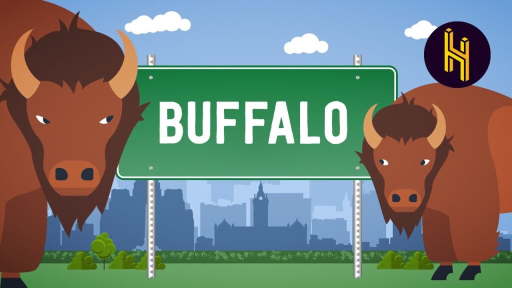 Couple a buffalo in Buffalo